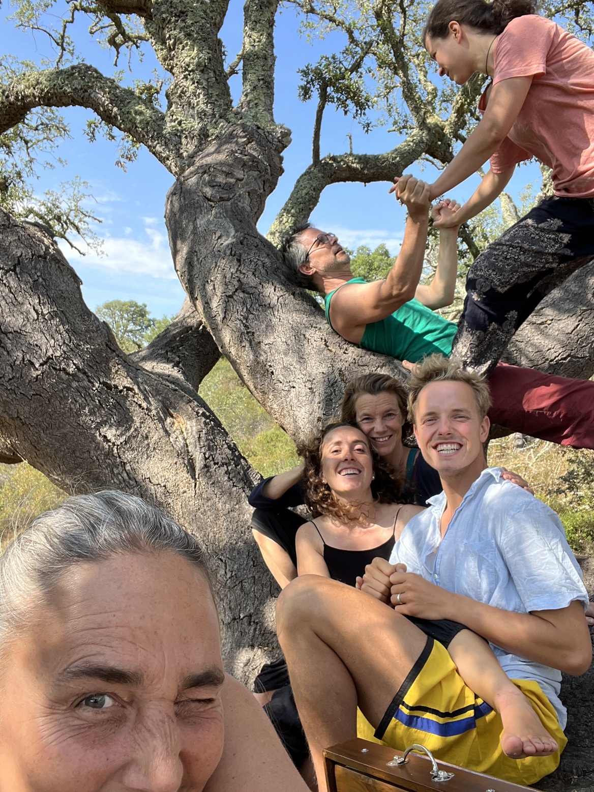 NatureJourney aufdemBaum