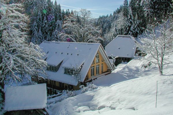 a-hensellek_winter461F74EE-7A98-91BC-B24A-BF5AE32A4DF4.jpg