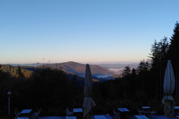 aussicht2C9278C6E-57AF-C71D-738D-28865F26CD32.jpg