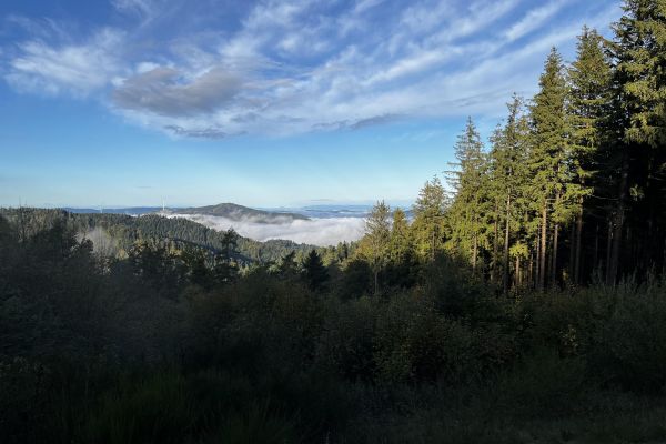 dieses_wetterBDD4DAC6-C9AC-6630-F944-4DC8631A04AC.jpg