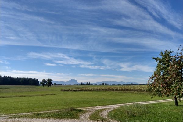 rundumdenhof6908C10E-4E4B-8A09-80DF-62CE1A88240D.jpg