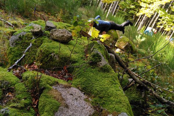 waldtanz14A55F45B-D580-743A-6832-96B76F23B179.jpg