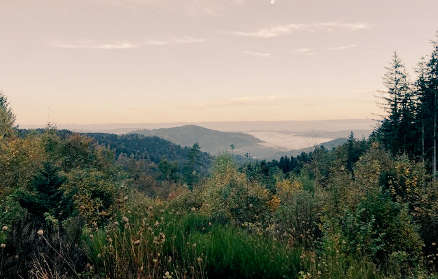 Sommerecke Aussicht